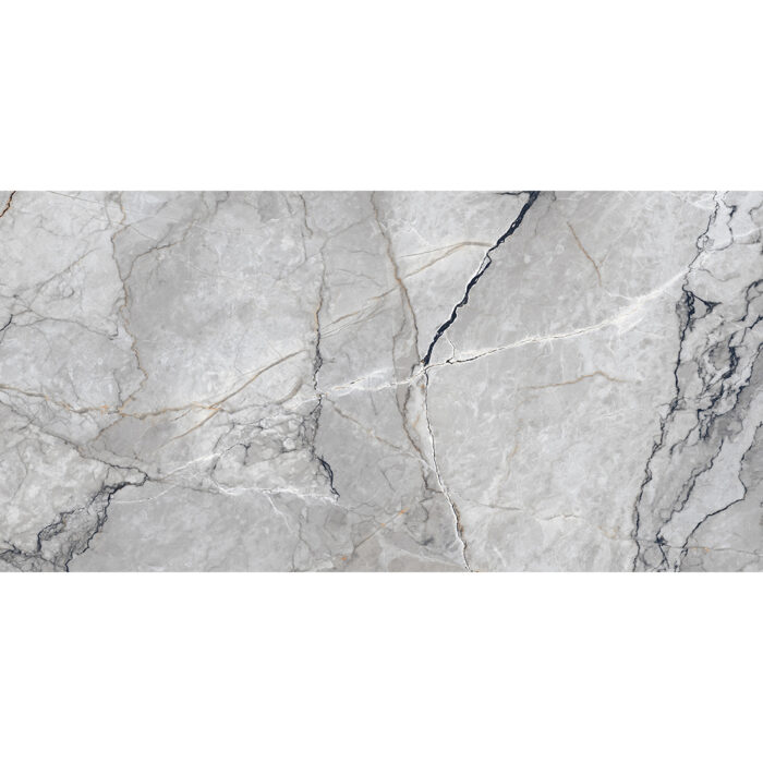 Marmo 60x120 Gris Polished - Image 1
