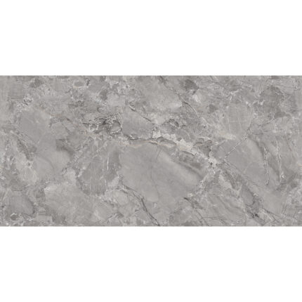 Endless Fonatana 60x120 Silver Matt