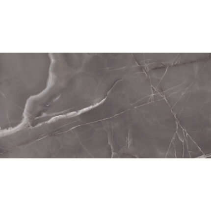 Onyx Prime 60x120 Gris Polished